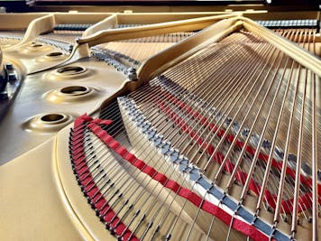 1969 Steinway MODEL B
