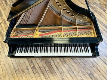 1983 Steinway MODEL M