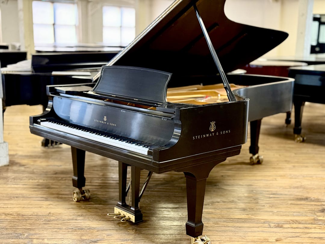 1999 Steinway MODEL D