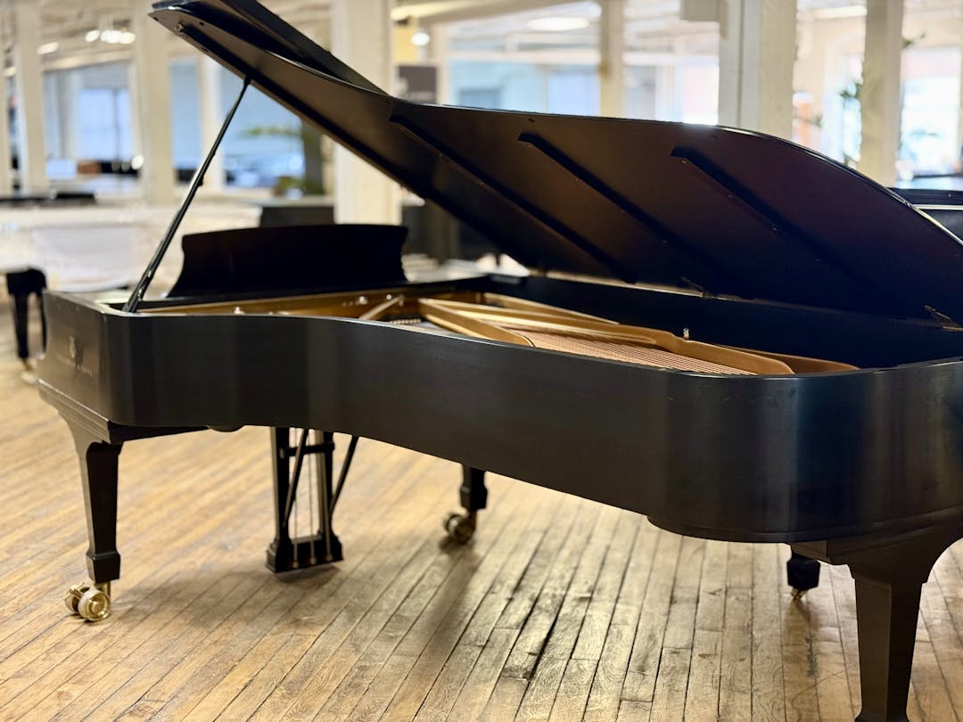 1999 Steinway MODEL D