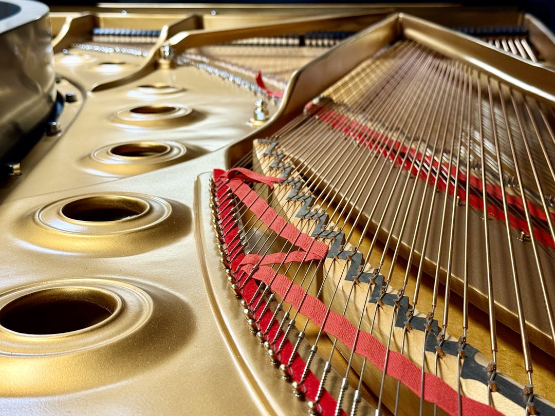 1999 Steinway MODEL D