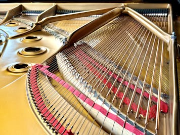 1998 Steinway MODEL B