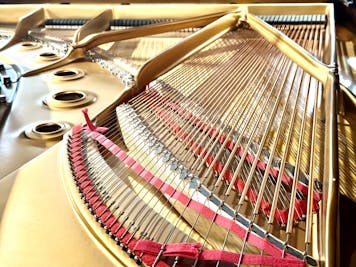 2003 Steinway MODEL B