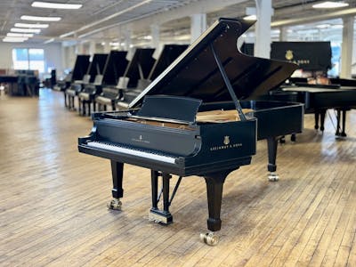 2003 Steinway MODEL D