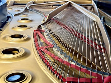 2003 Steinway MODEL D