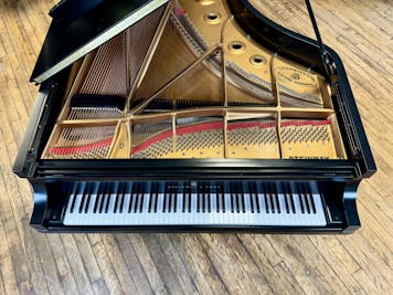 2003 Steinway MODEL D