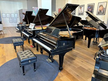 2005 Steinway MODEL B