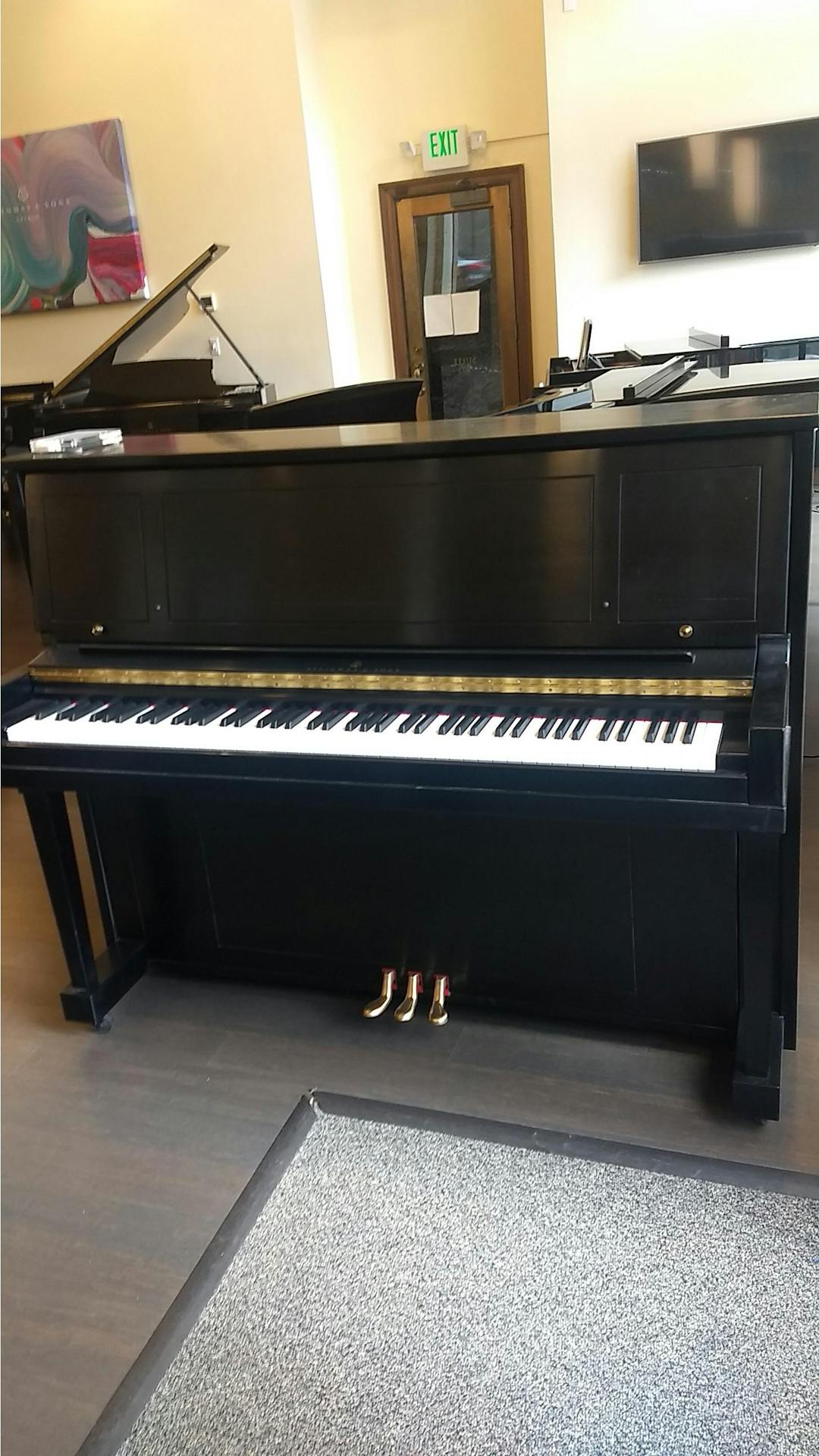 2010 Steinway MODEL 1098