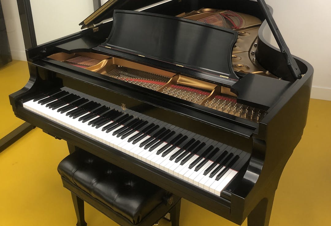 2010 Steinway MODEL B