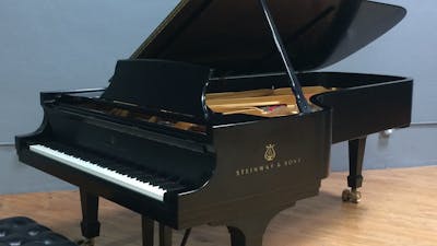 2013 Steinway MODEL D