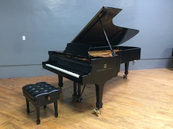 2013 Steinway MODEL D