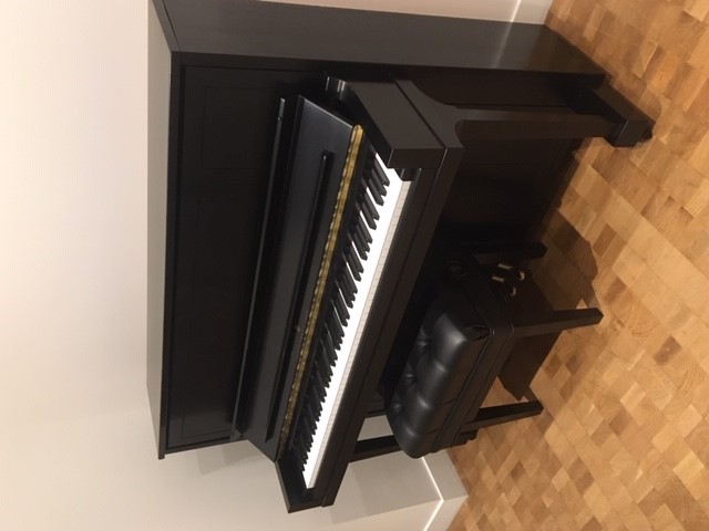 Steinway 1098 online