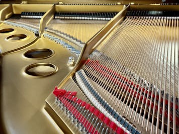 2017 Steinway MODEL O